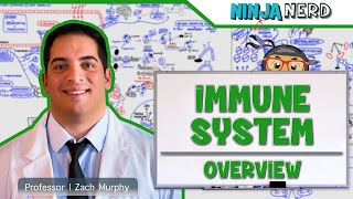 Immunology  Immune System Overview [upl. by Anawik]