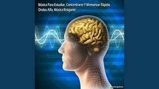 Música Para Estudiar Concentrarse Y Memorizar Rápido Ondas Alfa Música Relajante [upl. by Ielhsa]