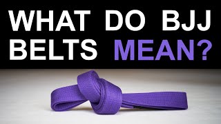 What Do BJJ Belts Mean [upl. by Eibber]