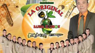 La Original Banda Limon 2013 mix [upl. by Fabrienne508]