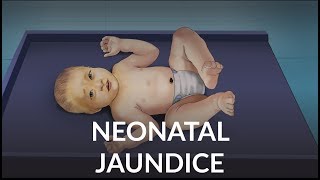 Neonatal Jaundice by L Veit  OPENPediatrics [upl. by Annaeed236]