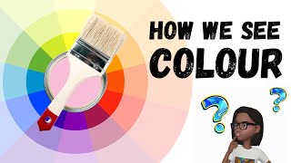 How We See Colour  Light and Colour  Colour Theory [upl. by Eldwin]