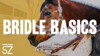 Bridle Basics How to Place amp Remove Bridles on a Horse [upl. by Cartwright386]