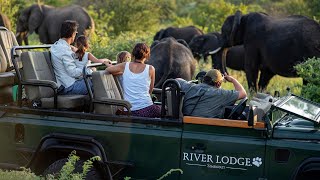 Simbavati River Lodge [upl. by Elly]