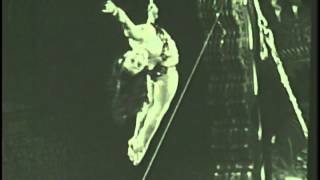 Tosca Dilecca aerialist  Luftakrobatin  воздушная гимнастка [upl. by Iliram]