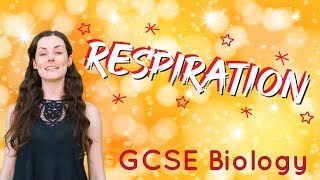 Respiration  GCSE Biology [upl. by Elcarim]