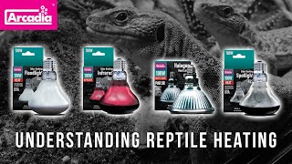 ARCADIA REPTILE HEAT LAMPS Full Range Explained What Lamp Do You NEED [upl. by Redyr]