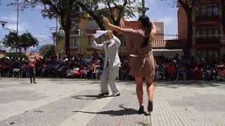 Cueca Chapaca Tarija  Bolivia 2017 [upl. by Hilel]