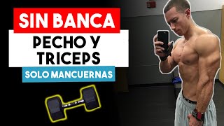 20 Min Rutina de Pecho y Triceps con Mancuernas SIN BANCA  Ejercicios de Pecho y Triceps en Casa [upl. by Tye812]