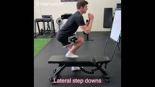 Lateral Step Downs [upl. by Tye]