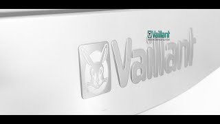 Vaillant Ecotec Boiler Servicing [upl. by Gnay340]