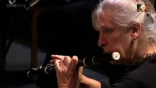 Haydn HobXXII 9 Paukenmesse C major Missa in tempore belli Neville Marriner [upl. by Marlea486]