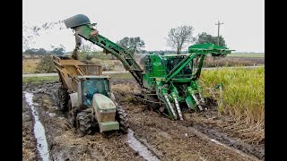 John Deeres 2 Row CH960 Cane Harvester 4K [upl. by Marshall]