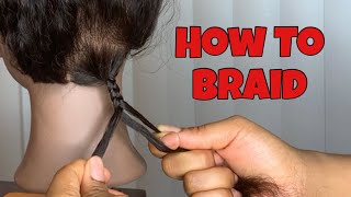 How To Braid For Beginners  3 Strand Braid [upl. by Eidas]