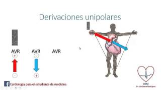 Derivaciones unipolares [upl. by Guyon]