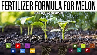 BEST Fertilizer Formula For Melon Cantaloupe– Planting To Harvest [upl. by Odrarebe354]