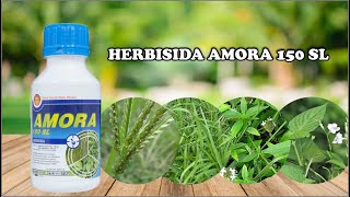 HERBISIDA AMORA 150 SL [upl. by Bonis]