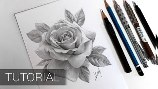 Tutorial  How to Draw a Realistic Rose [upl. by Longerich]