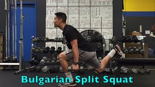 Jump Higher with Bulgarian Split Squats [upl. by Arayk]