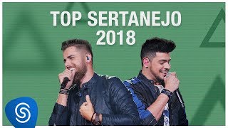 Top Lançamentos Sertanejo 2019  Os Melhores Clipes [upl. by Blanchard307]