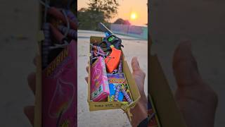 Different types of Diwali Crackers Testing 🎊 Diwali Gun Colour Matches Cheapest Sky Shot ✨️ Bijli [upl. by Notslah569]