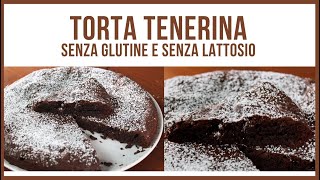 TORTA TENERINA AL CIOCCOLATO ricetta senza glutine e senza lattosio morbida e profumata [upl. by Krystalle]