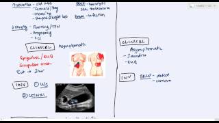 Gallbladder Diseases cholelithiasis choledecholithiasis cholecystitis cholangitis [upl. by Toth]