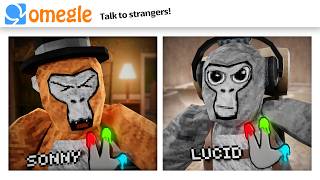 OMEGLE Trolling in Gorilla Tag [upl. by Annayat]