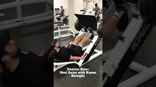 Double Leg Heel Raise On Leg Press [upl. by Sleinad]