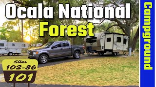 Salt Springs Recreation Area Campground Tour Ocala National Forest 4K [upl. by Tracay]