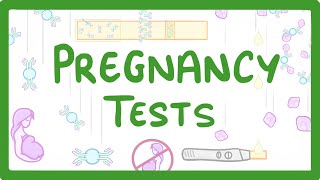 Pregnancy 101 How pregnancy tests work [upl. by Oiramd]