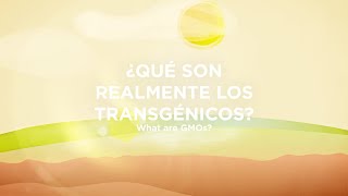 Ciencia animada UPM Qué son los transgénicos [upl. by Nevetse75]