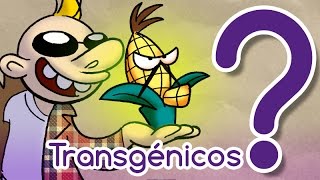 ¿Los transgénicos son peligrosos [upl. by Erodasi569]