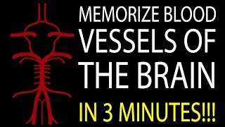 MNEMONIC Brains Blood Supply MEMORIZE in 3 Minutes [upl. by Liuqnoj]