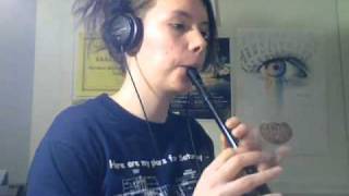 Traditional Irish Tin Whistle Songs [upl. by Dieball]