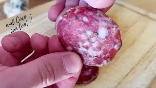 BASIC SALAMI RECIPE Dry Cured in Wine Fridge  Matt The Butcher [upl. by Tap]