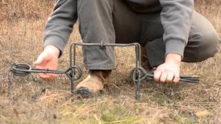 Fur Trapping  How to set a Conibear Trap [upl. by Yxor]