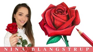 How to Draw a Realistic Rose  Step by Step Tutorial for Beginners [upl. by Eilema]