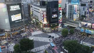 Shibuya Crossing Timelapse [upl. by Anila]