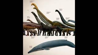 blue whale vs dinosaur size comparison [upl. by Junette]