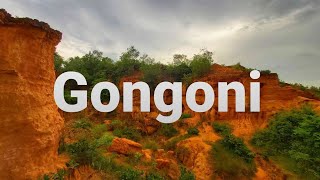 Gongoni [upl. by Norrie]