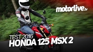 HONDA 125 MSX 2016  TEST [upl. by Anaiq]