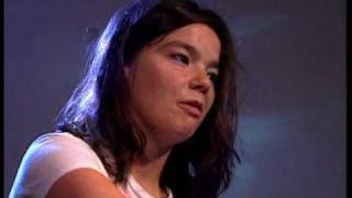 Bjork  INTERVIEW 1993 [upl. by Yttap]