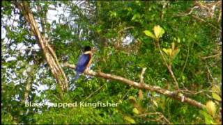 Sensational Sundarbans of Bangladesh  Part 1 [upl. by Kubetz]