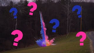 Baby Pozzi 💥EXPLOSIVE💥 Gender Reveal [upl. by Anon452]