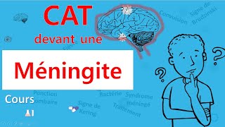 Méningite🙄 cest quoi la CAT 🤔  Cours  Infectiologie [upl. by Drooff]