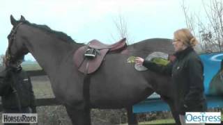 The Mares Oestrus Cycle Part 3  HorseandRider UK [upl. by Geraud]