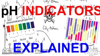 pH Indicators Explained [upl. by Enyad516]