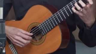 Classical Guitar Lesson 1 [upl. by Geanine]