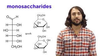 Carbohydrates Part 1 Simple Sugars and Fischer Projections [upl. by Ehcadroj905]